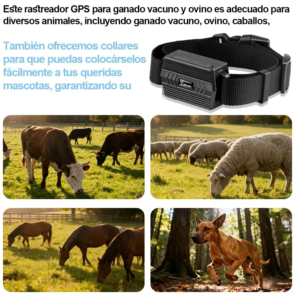 Winnes TK935 tracker GPS animale mari 2G 3500mAh
